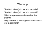 Arabinose induction - Olympic High School Home Page