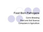 Food Born Pathogens