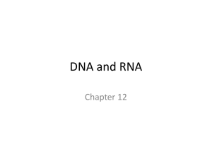 DNA and RNA