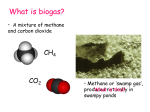 Biogas Student Presentation