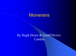 Monerans - The Fenn School