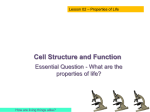 Cell Structure and Function