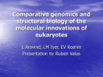 Comparative genomics and structural biology of the