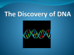 The Discovery of DNA