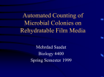 Automated Counting of Microbial Colonies on Rehydratable Film