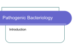 Pathogenic Bacteriology - Cal State LA