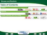 Viruses and Bacteria