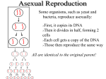 Free PowerPoint - Interactive Science Teacher