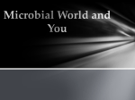 Microbial World and You