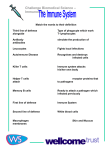 Challenge Biomedical Science – Immunology The Immune