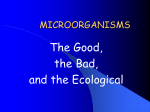 MICROORGANISMS