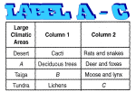 Explain how this diagram represents the flow of energy through an