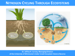 Nutrient Cycling - Region 11 Math and Science Teacher Academy