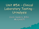 Clinical Laboratory Testing - Urinalysis