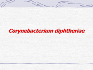 Mycobacterium tuberculosis