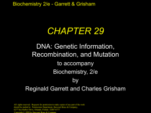 Chapter 29 Slides