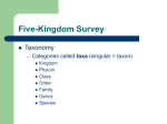 Five-Kingdom Survey