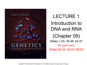 (Chapter 9): Molecular Structure of DNA and RNA