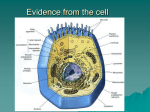 Cells/Organelles Case