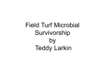 Larkin field turf microbial survivorship pjas powerpoint intro