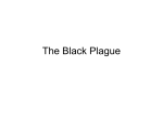 The Black Plague