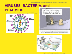 Virus Bacteria Plasmids 1