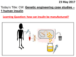 11. Genetic engineering case study 1 - Human Insulin