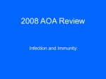 2008 AOA Review
