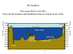 ocean floor and life