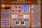 Poster - iGEM 2006