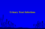 Urinary tract infection