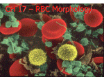 CH 17 RBC Morphology