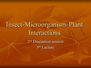 2 dic sess Insect-Microorganism