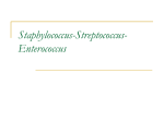 The Staphylococci123.5 KB