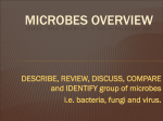 microbes overview