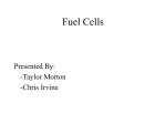 Microbial Fuel Cells