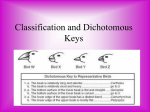 Classification and Dichotomous Keys