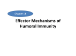 Effector Mechanisms of Humoral Immunity