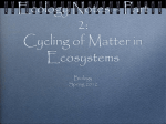 Matter Cycling ecology_-_part_2_-_matter_cycling