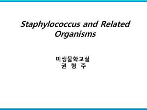 Streptococcus pneumoniae and Staphylococci