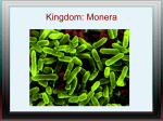 monera - Doktorscience