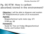 Carbon Sink