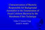 Characterization of Bacteria Responsible for Background Anomalies