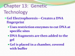 DNA fingerprinting Cell Specialization Cells differentiate because of