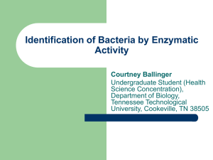 Identification of Bacteria by Enzymatic Activity