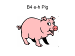 b4e-h-pig-h - Macmillan Academy