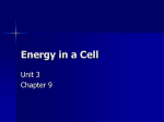 Energy in a Cell