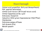 Diapositiva 1 - Sezione di Microbiologia