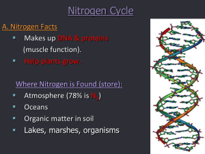 bio 2.2 nutrient cycles-phsophorous