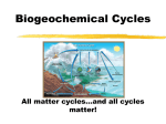 Biogeochemical notes - Liberty Union High School District